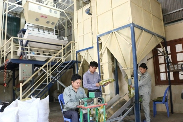 Lấy ý kiến dự thảo quy định về quản lý kinh phí khuyến công quốc gia